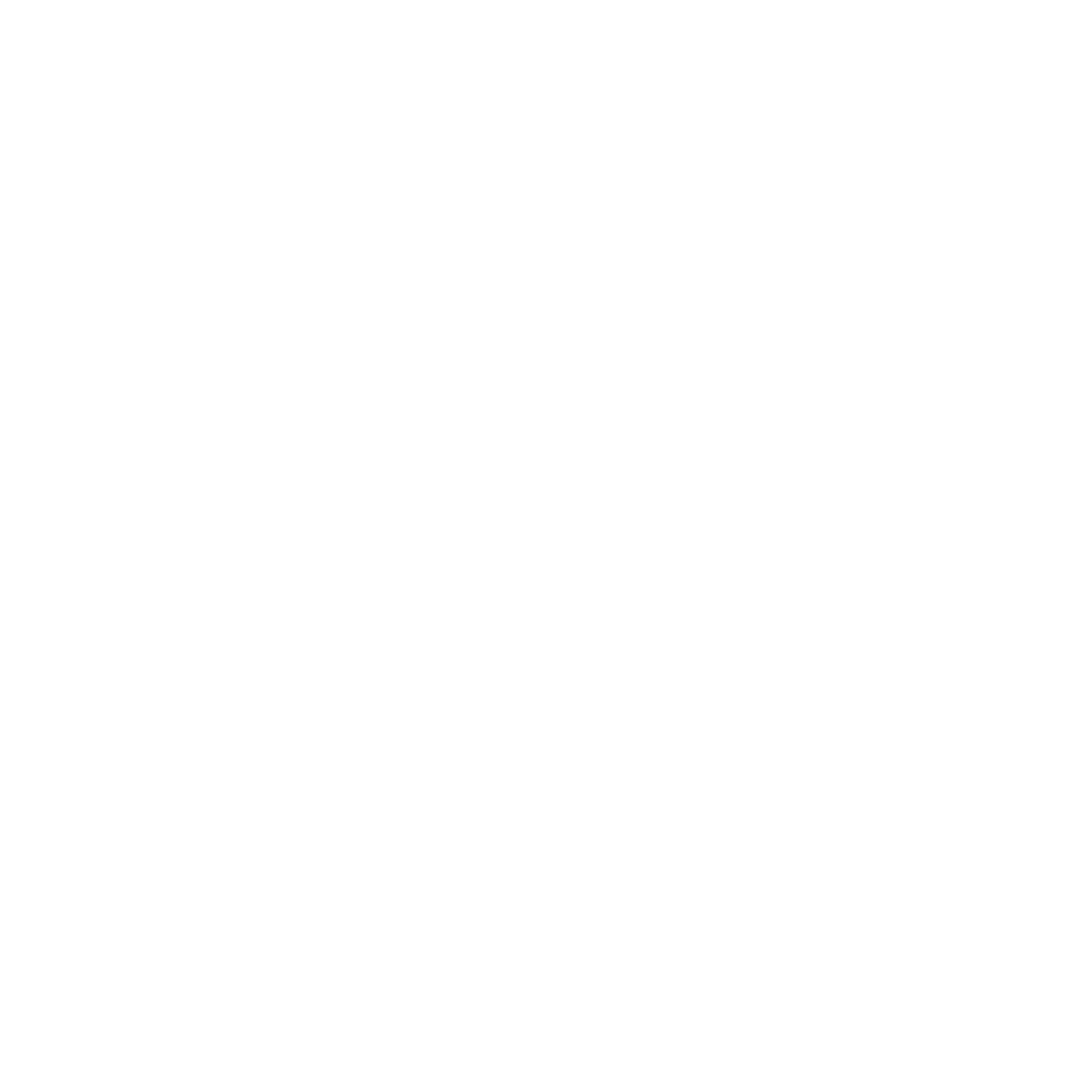 Reglaj Elektrik Beyaz Logo